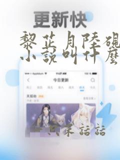 黎芷月陆砚舟的小说叫什么