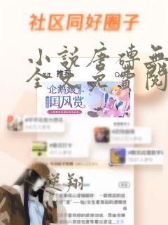 小说唐砖无弹窗全文免费阅读