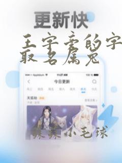 王字旁的字男孩取名属兔