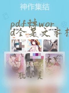 pdf转word全是文本框怎么办