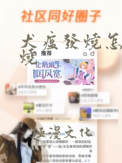 犬瘟发烧怎么退烧