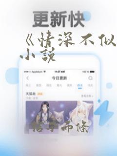 《情深不似海》小说