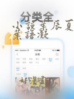 小说叶辰夏倾月叶语凝