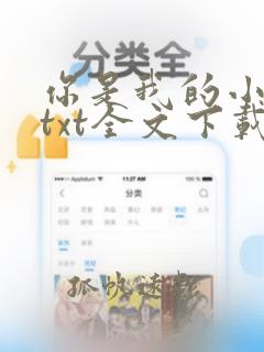 你是我的小美好txt全文下载 完整版