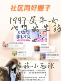 1997属牛女八月出生的婚姻