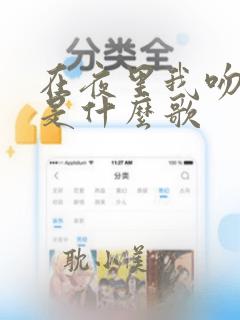 在夜里我吻过你是什么歌