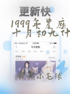 1999年农历十月初九什么命