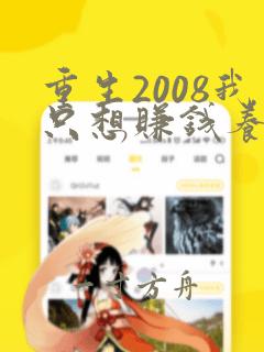 重生2008我只想赚钱养家的小说