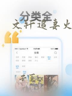 文轩追妻火葬场