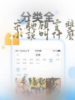 宋驰顾霄双男主小说叫什么名字