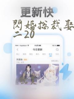 闪婚总裁娶一送二20