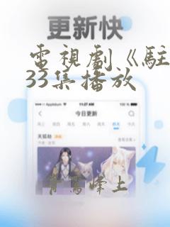 电视剧《驻站》33集播放