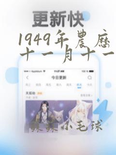 1949年农历十一月十一六18点是什么命