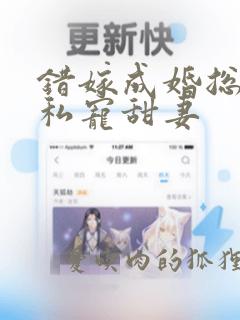 错嫁成婚总裁的私宠甜妻