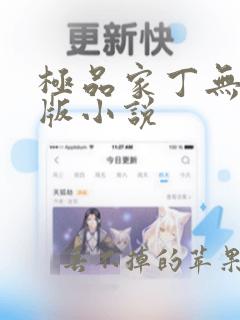 极品家丁无删减版小说