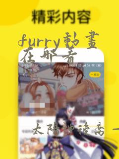 furry动画在哪看