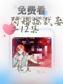 闪婚总裁娶一送二12集