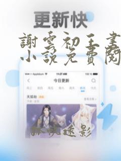 谢云初王书淮的小说免费阅读