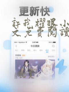 许我耀眼小说全文免费阅读无弹窗