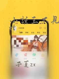 小说王不见王txt