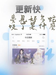 梦见好多蛇被蛇咬了是什么征兆