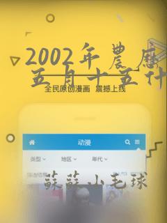 2002年农历五月十五什么命