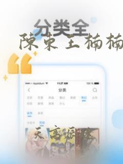 陈东王楠楠小说