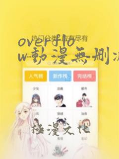 overflow动漫无删减在线播放全集