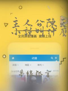 主人公陈天明的小说叫什么名字