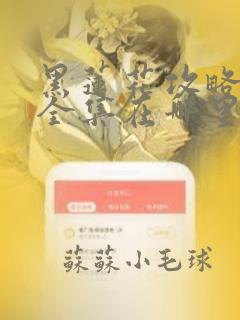 黑莲花攻略手册全集在哪里看