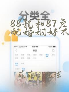 88龙和87兔配婚姻好不好