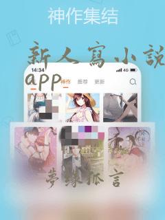 新人写小说必备app