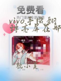 vivo手机翻转亮屏在哪里关闭