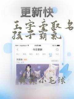 王字旁取名字男孩子霸气