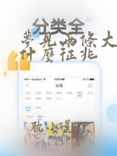 梦见两条大蛇是什么征兆