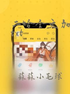 二哈全文加番外txt