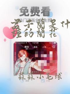 君子兰是什么品种的兰花