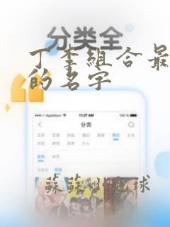 丁李组合最洋气的名字