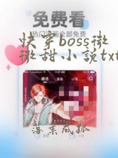 快穿boss微微甜小说txt