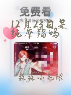 12月23日是纯摩羯吗