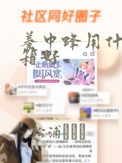 养中蜂用什么蜂箱好