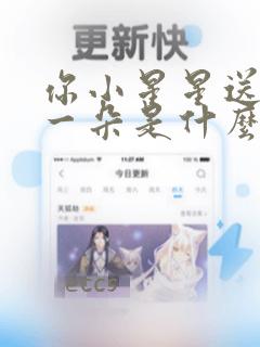 你小星星送你花一朵是什么歌