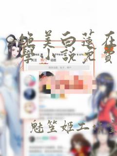 绝美白莲在线教学小说免费阅读无弹窗笔趣