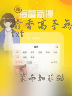 偷香高手无删减txt