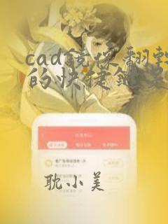 cad镜像翻转的快捷键是什么