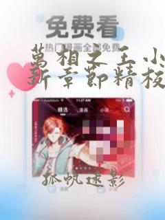 万相之王小说最新章节精校版