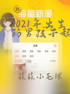 2021年出生的男孩子起什么名字好