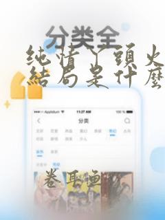 纯情丫头火辣辣结局是什么