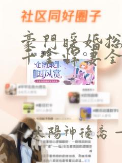 豪门暖婚总裁的千金悍妻全文免费阅读