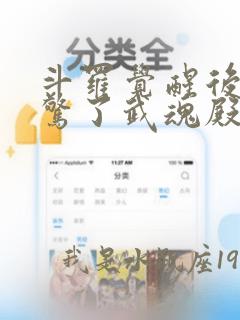 斗罗觉醒后我震惊了武魂殿